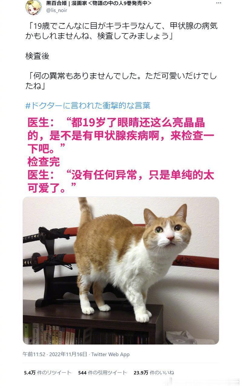 猫猫是小天使吧🤩​​​