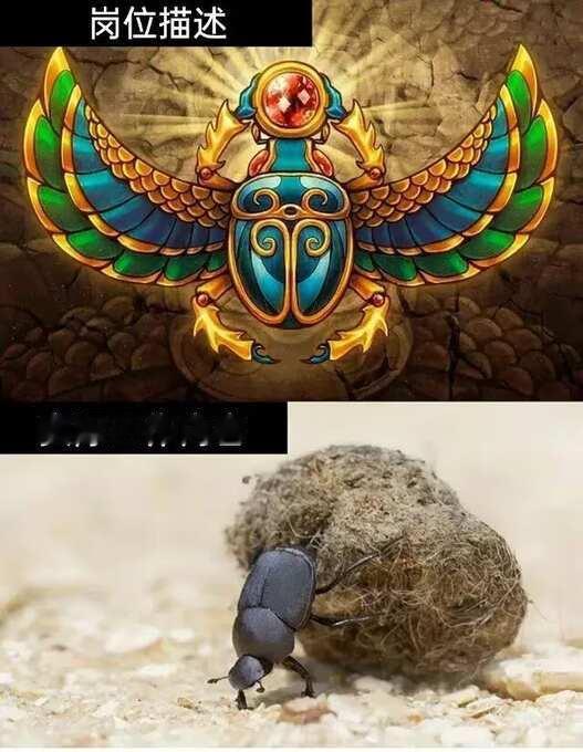 好真实的meme