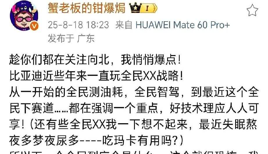 比亚迪把闪充和空悬塞进17万的车，就是告诉同行：技术垄断可以收摊了。17