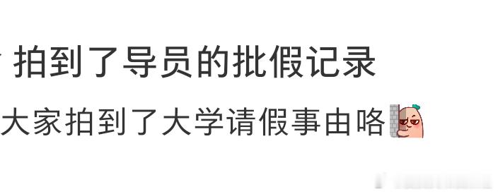 拍到了导员的批假记录
