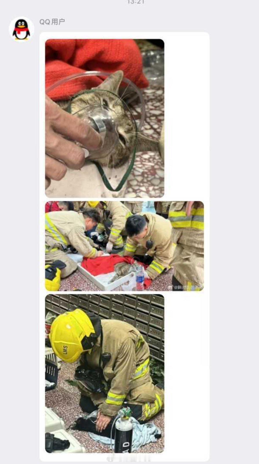 人都救没出来，就开始行为艺术了？