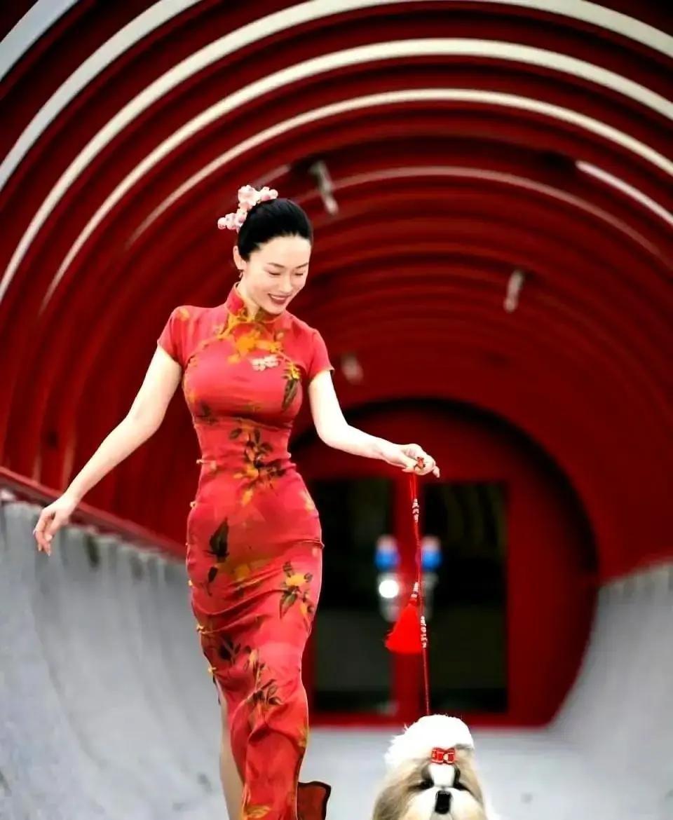 霍思燕那只西施犬“珍珠”在国外犬展拿下全场总冠军，消息一出，我朋友圈全是狗照。