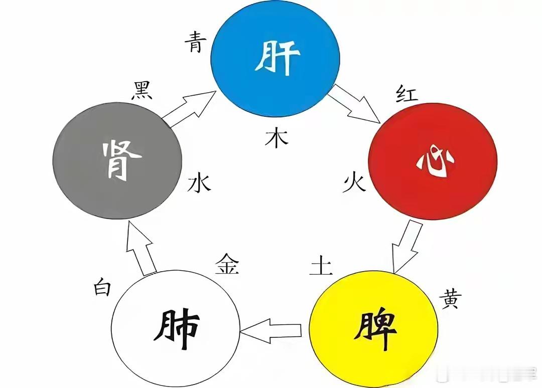 一碗补阴汤，肺阴、心阴、脾阴、肝阴、肾阴，全给你补足阴虚的本质是体内水液亏耗。水