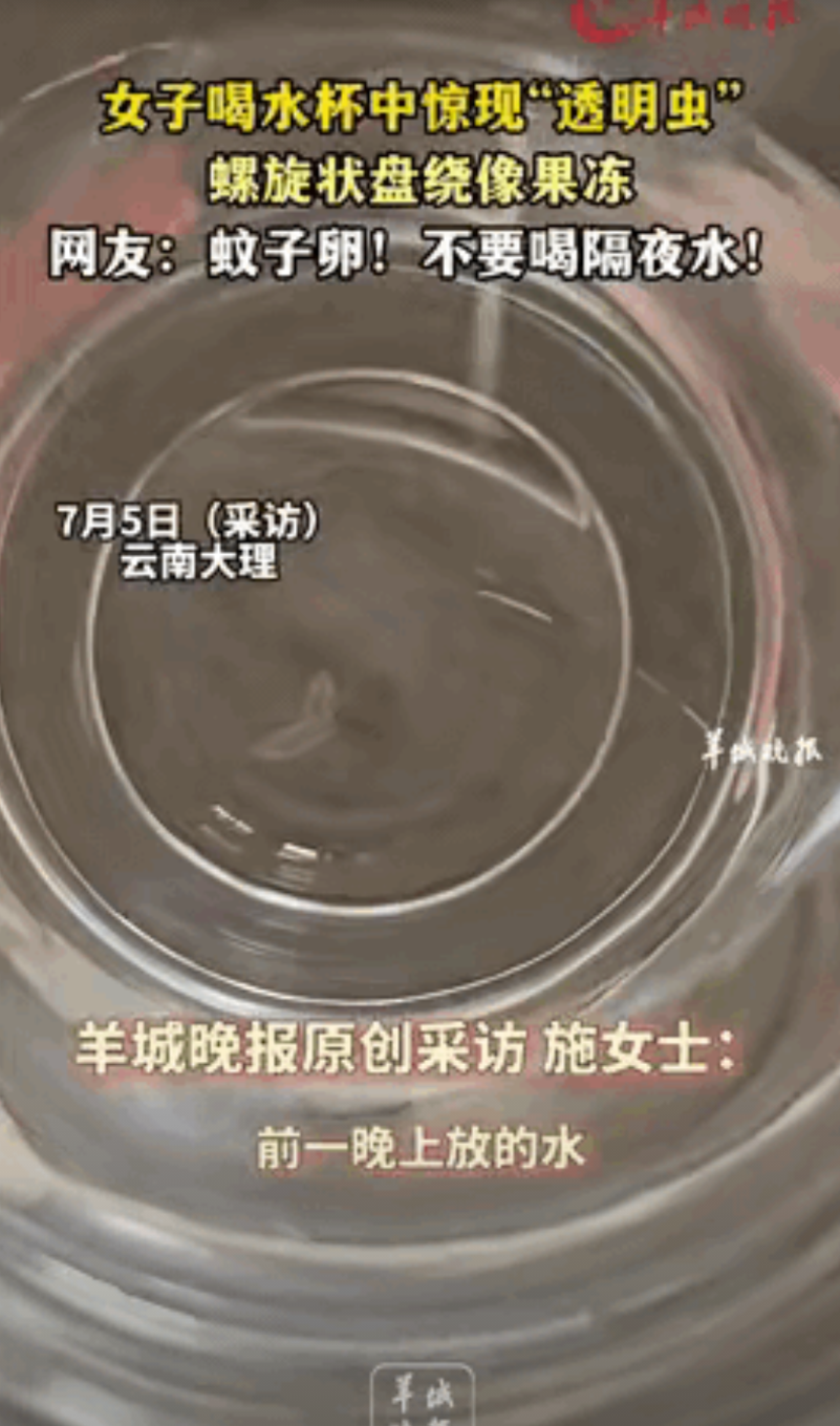 “太吓人了！”云南大理，一女子起床前喝了半杯隔夜水后，竟然惊奇地发现杯子里面有一
