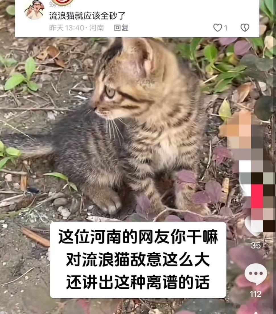 看见这种就来气……