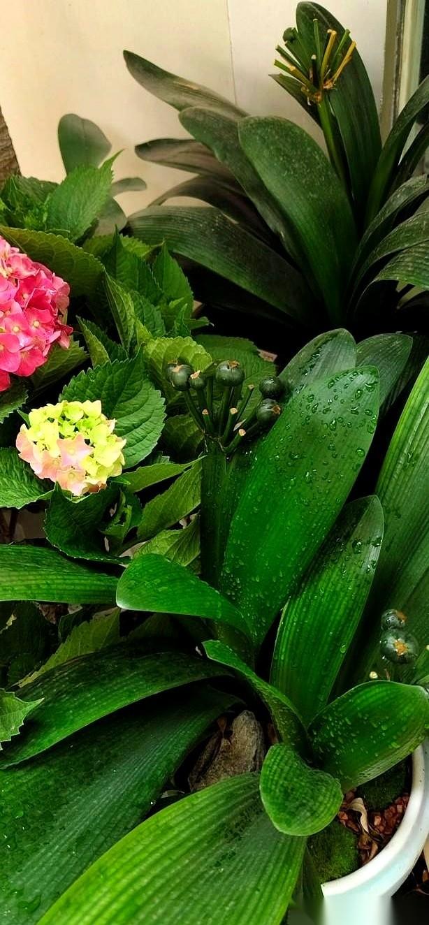 饭局上，一个二婚的朋友端起酒杯，非要给我们这些没再婚的上上课。他放下杯子，一字