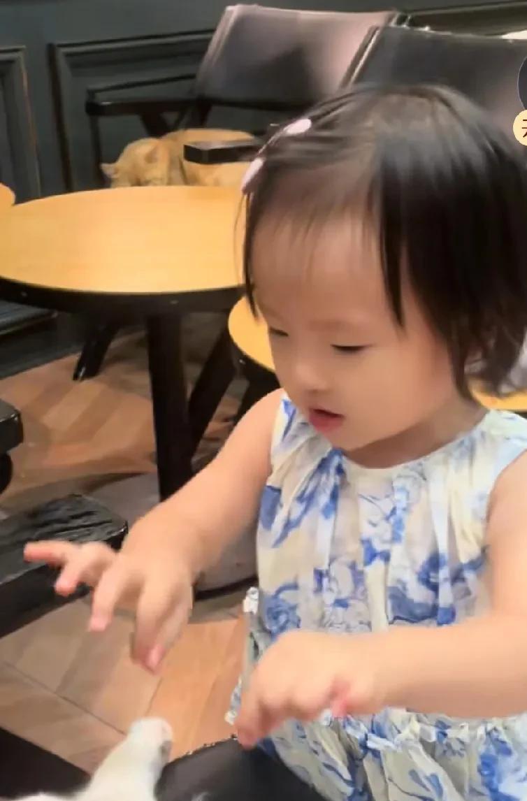 闪闪这小姑娘真懂事。黄一鸣带闪闪第一次来猫咖，闪闪看到地上的垃圾就捡起来，自己