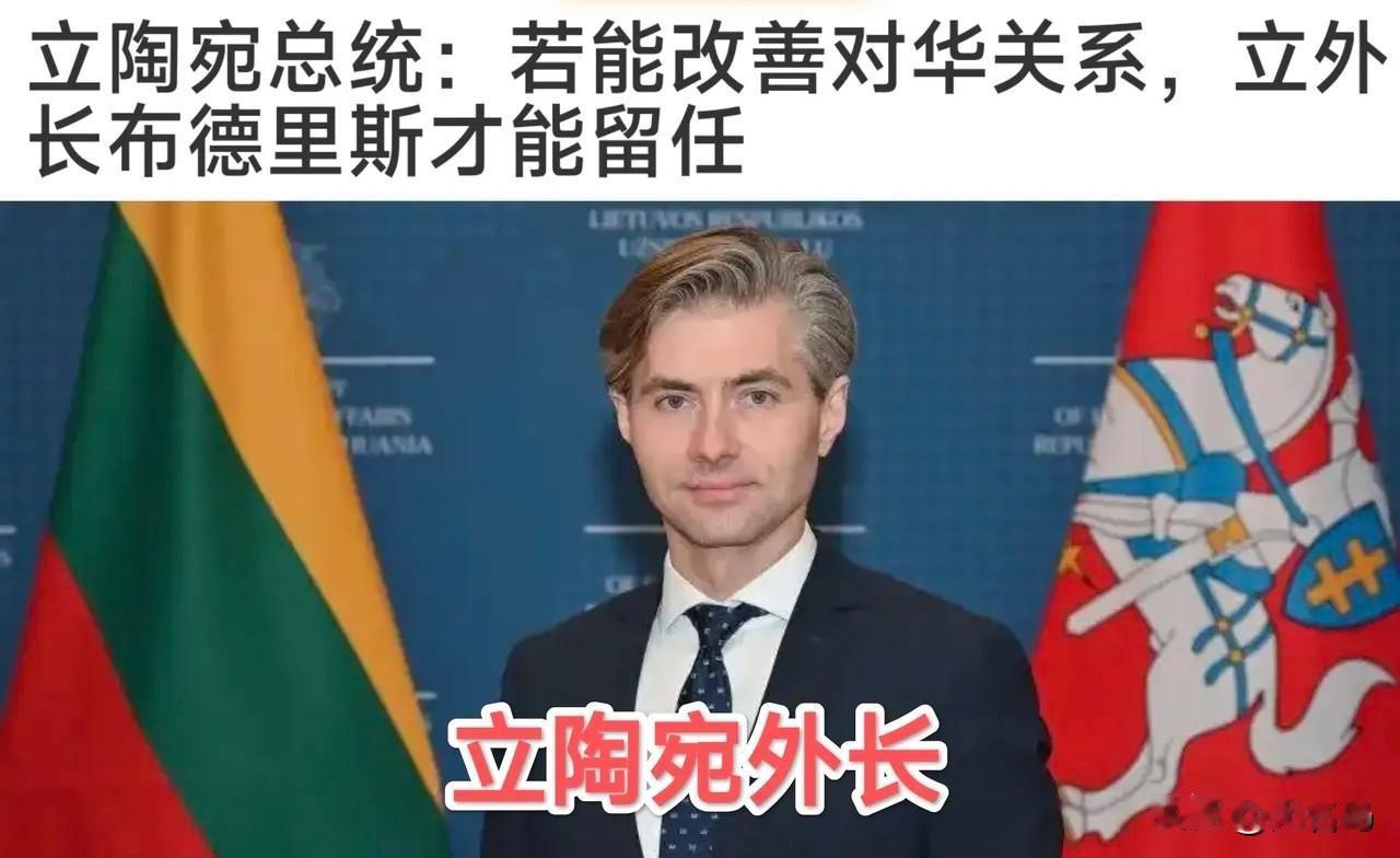 立陶宛总统瑙塞达在接受立陶宛国家广播电视台（LRT）采访时表示，立陶宛外长布德里