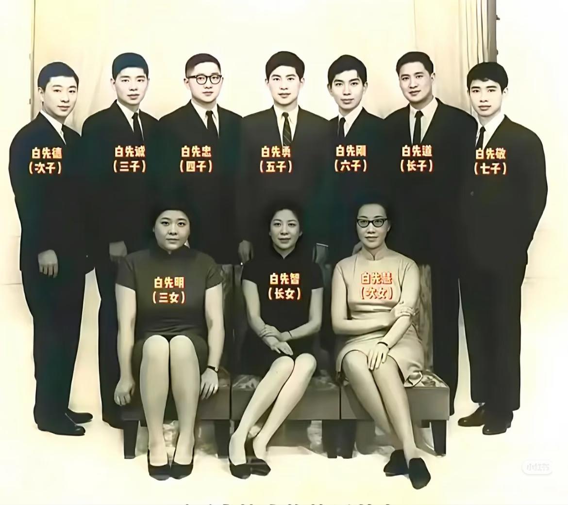 白崇禧十个子女留下的合影，三个女儿身穿旗袍坐在前排，七个儿子西装革履，挺拔地站在