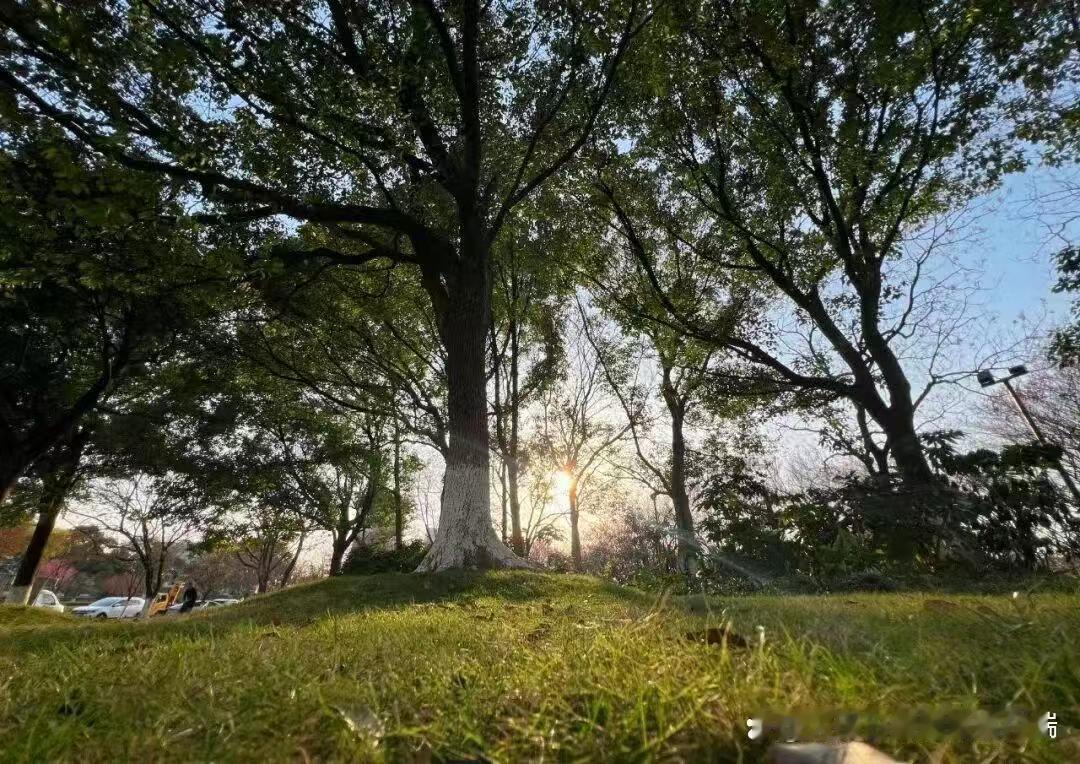 白天补光延寿，晚上开灯折寿？这份“光照账单”扯下了打工人的最后一块遮羞布“光