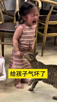 我看了十来遍这段视频，笑的停不住。小闺女手里攥着饼干，猫咪凑上来叼走咬了一大口，