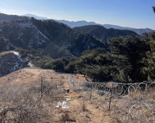 环泰山森林防火廊道：2519万刀片刺绳工程，争议双方完整解读一、工程基础信
