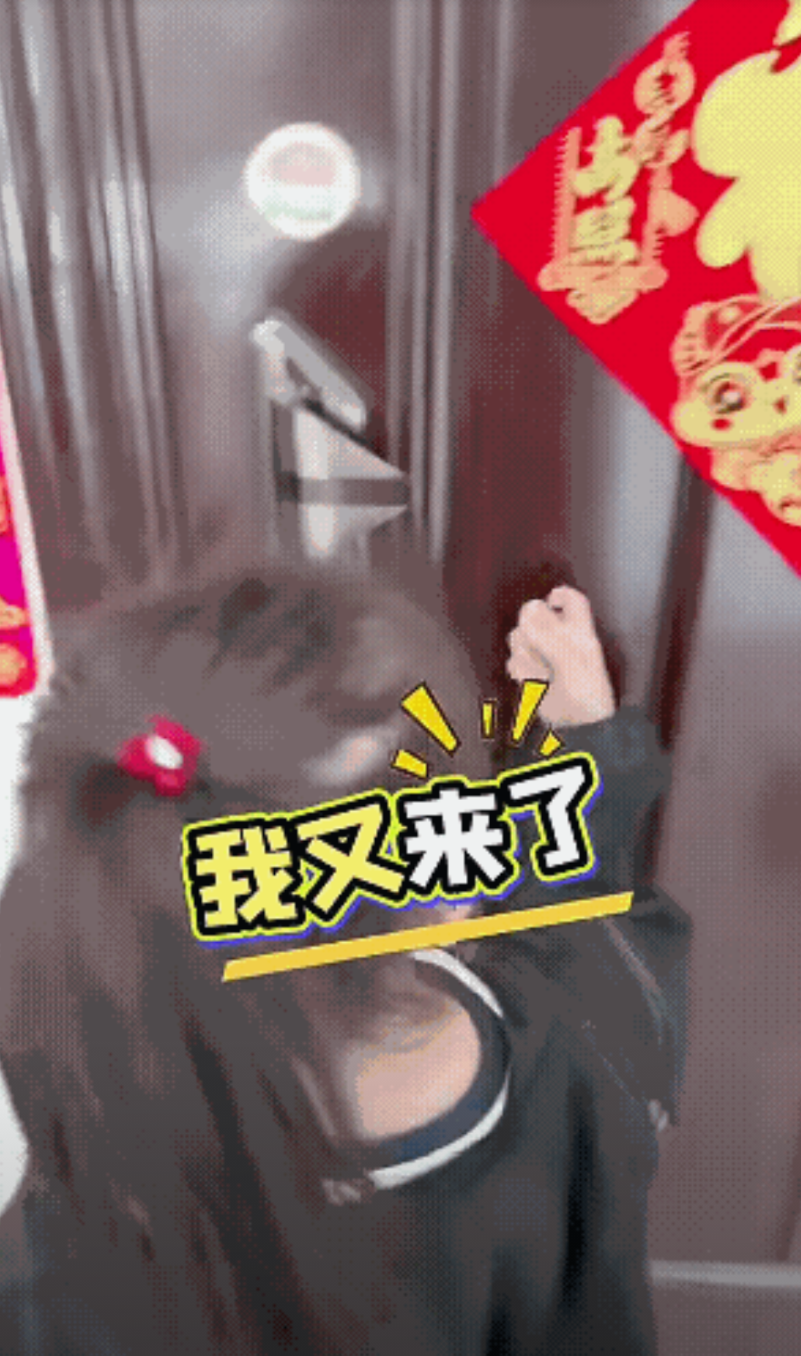 小侄女又上姑姑家蹭吃蹭喝！姑姑一开门，看到又是侄女，就有点不乐意了！可这小侄