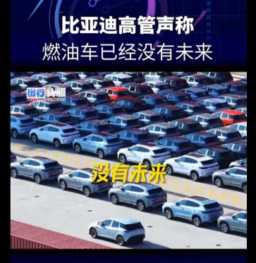 3.22亿辆燃油车，被一句话判了“死缓”。不是禁售。是没未来。比亚迪执行副总裁李