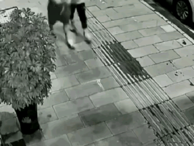 不作死就不会死黑衣小伙子与同伴悠闲地走在路上突然看见路边一盆高大的绿植