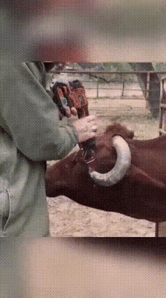 好家伙，这才是钻牛角尖[捂脸哭]