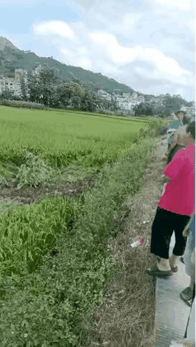 电线杆阻止了白车的一马平川！