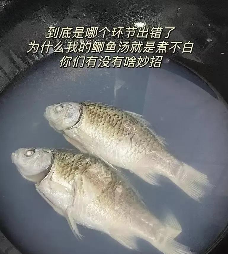 网友：为什么我煮了这么久还是这样，到底哪里出问题了？