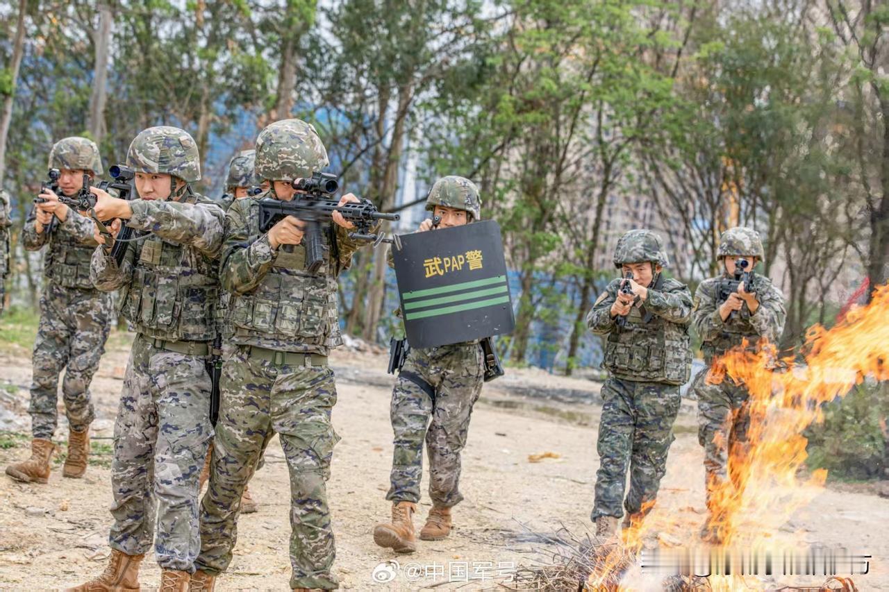 [呲牙笑]191型突击步枪与95-1型混装。现在光瞄普及了，95-1型加装光瞄