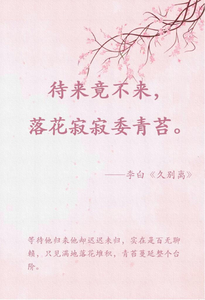 诗词中的花开花落，终等一人归矣。​​​