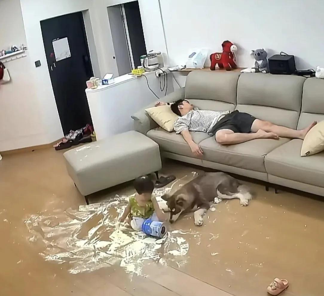 家里这一幕简直让人头大，地上搞得一塌糊涂。爸爸躺在沙发上睡得呼呼响，小孩和哈士奇