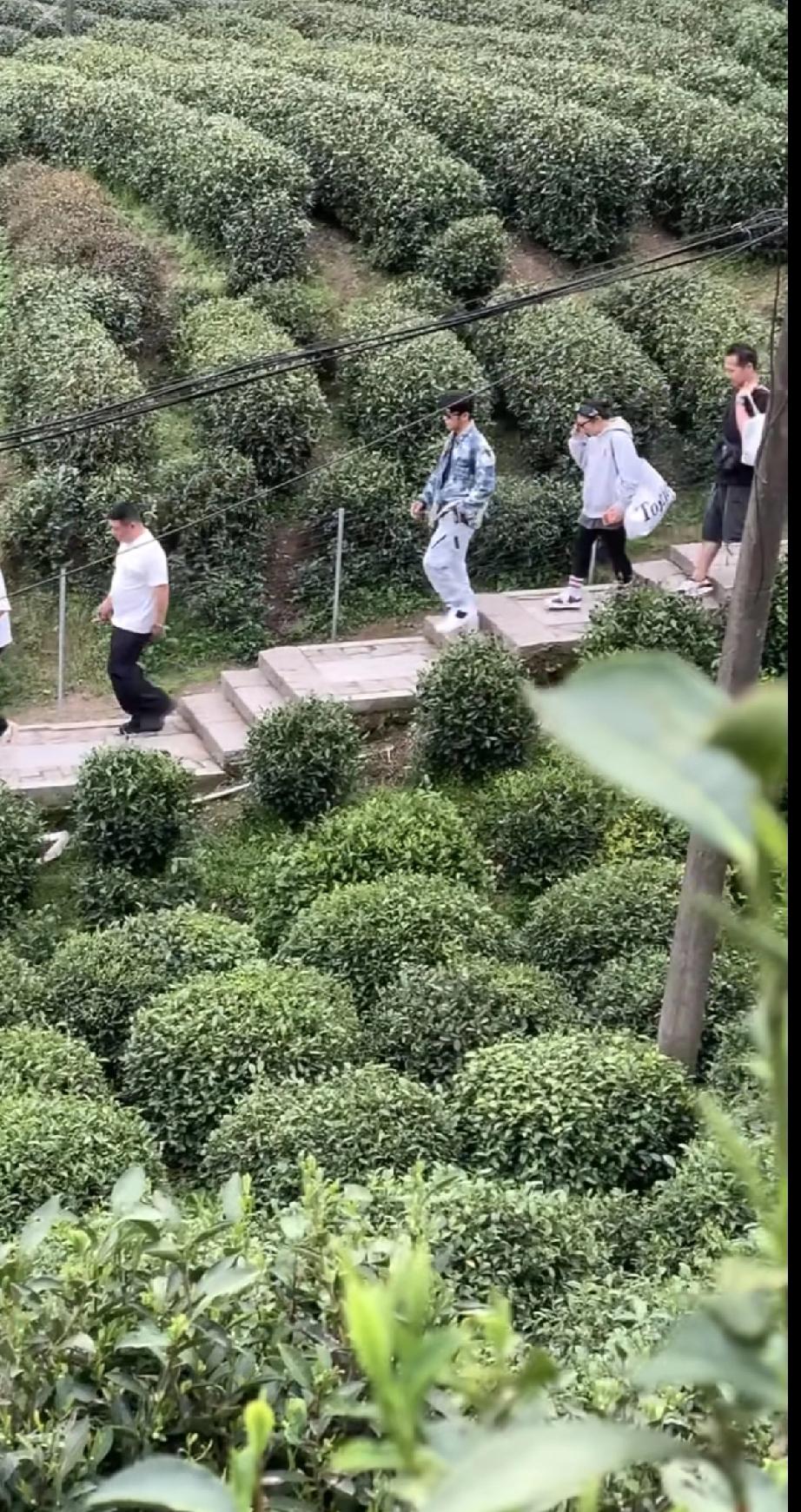 4月6日，周杰伦在龙井村喝完西湖龙井后下山，走路比谁都快，后面跟着女助理大妮帮他