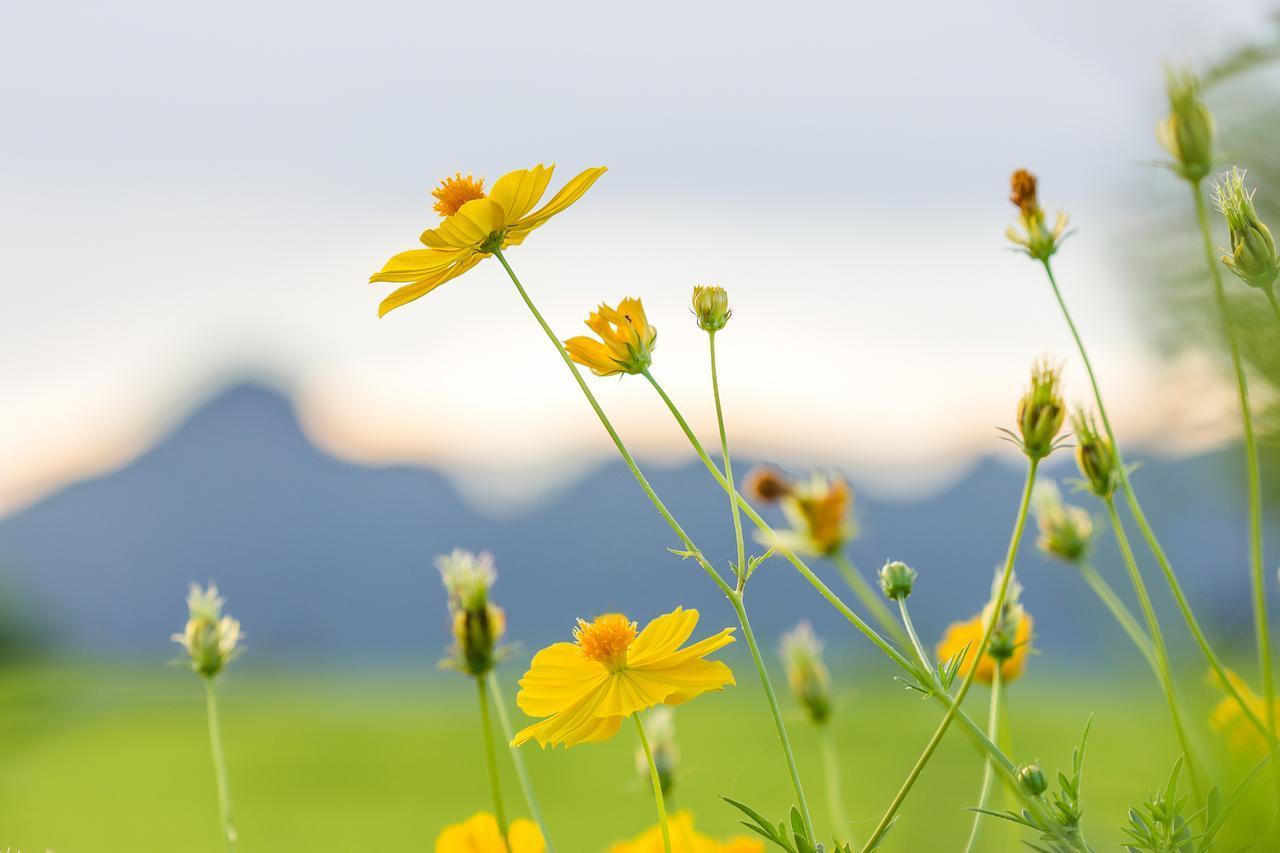 不太会教育孩子，没关系，做好这5点，孩子一样可以非常优秀~1.多带孩子运动经