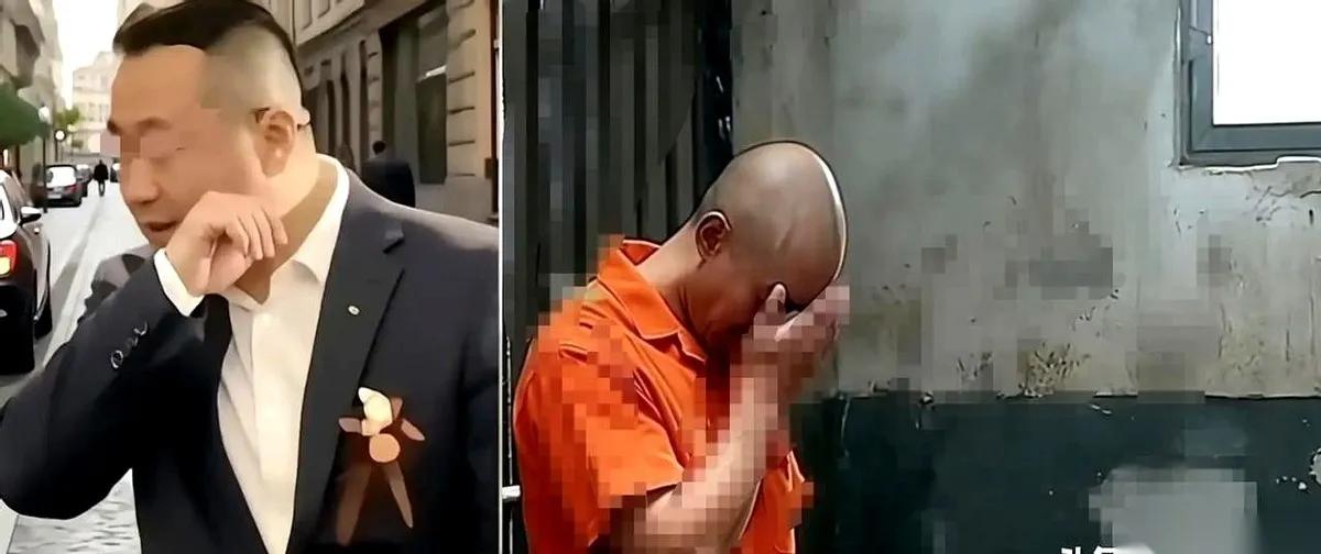 二审快来了，果然又开始折腾了。听说老金毛又去找瑶家了，彻底慌了。毕竟是自己的