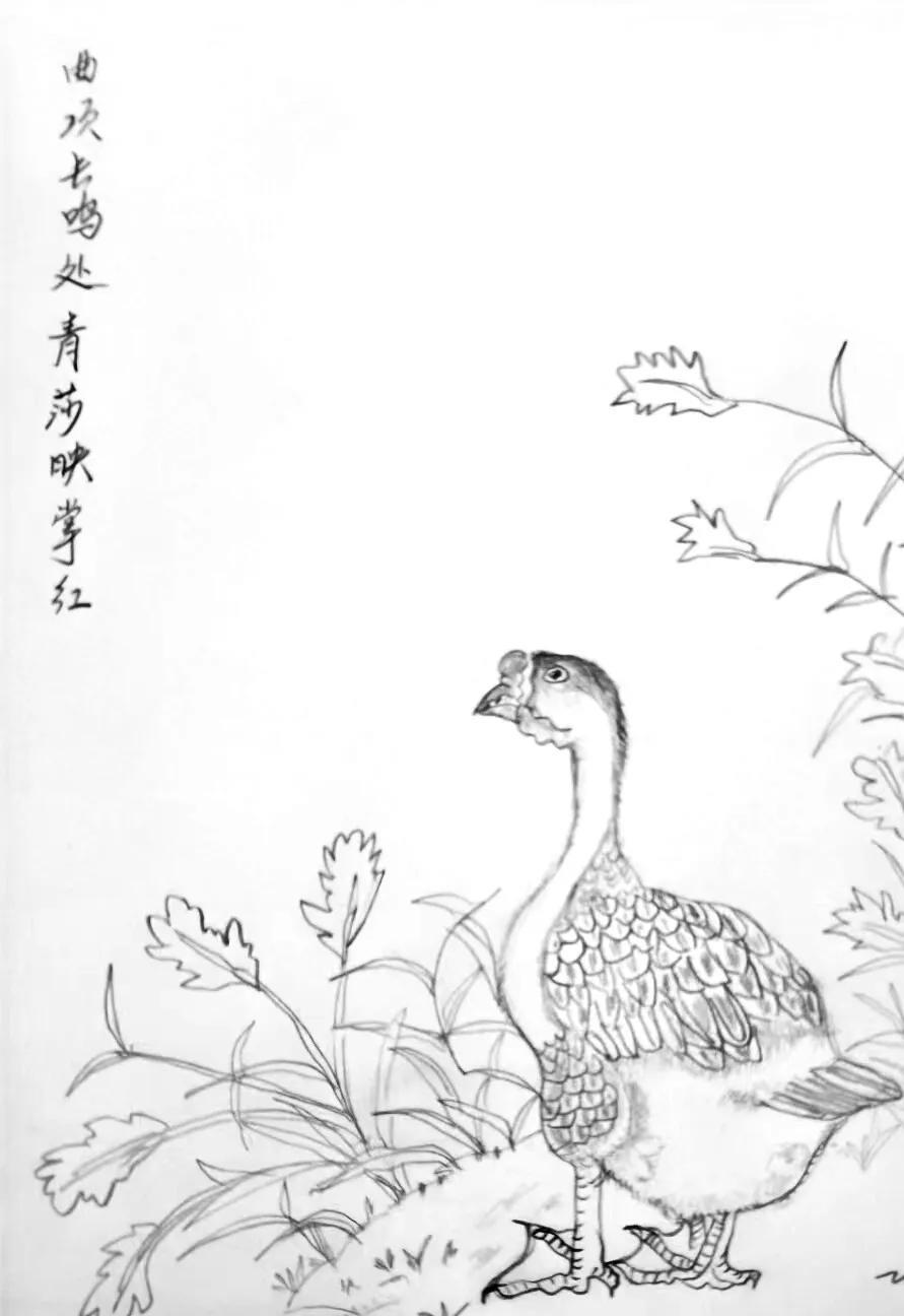 自从我儿子南开大学毕业去了一家银行做了一名职员之后，对于高考，上哪所大学，我真的