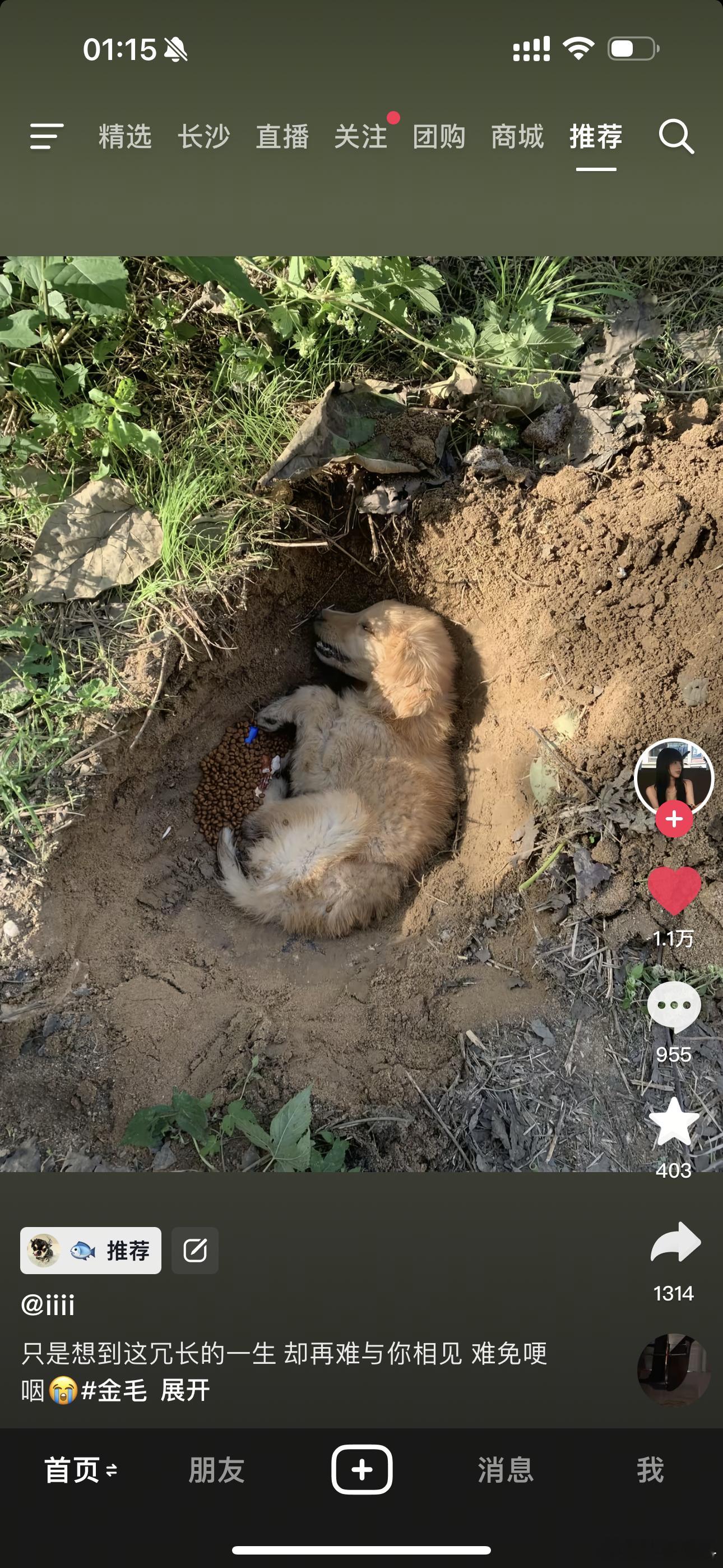 感觉这个世界一直在刺痛我​​​