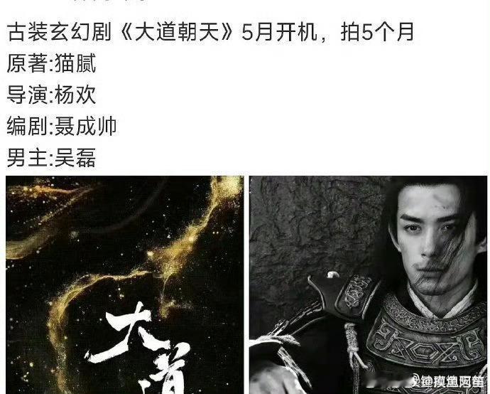 吴磊粉丝在艾特陈祉希要求换掉《大道朝天》网传的导演和编剧。演员粉丝的态度也是很诚