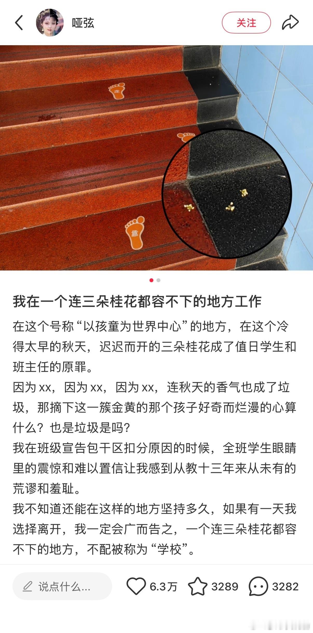 培养花朵的地方却不允许花存在