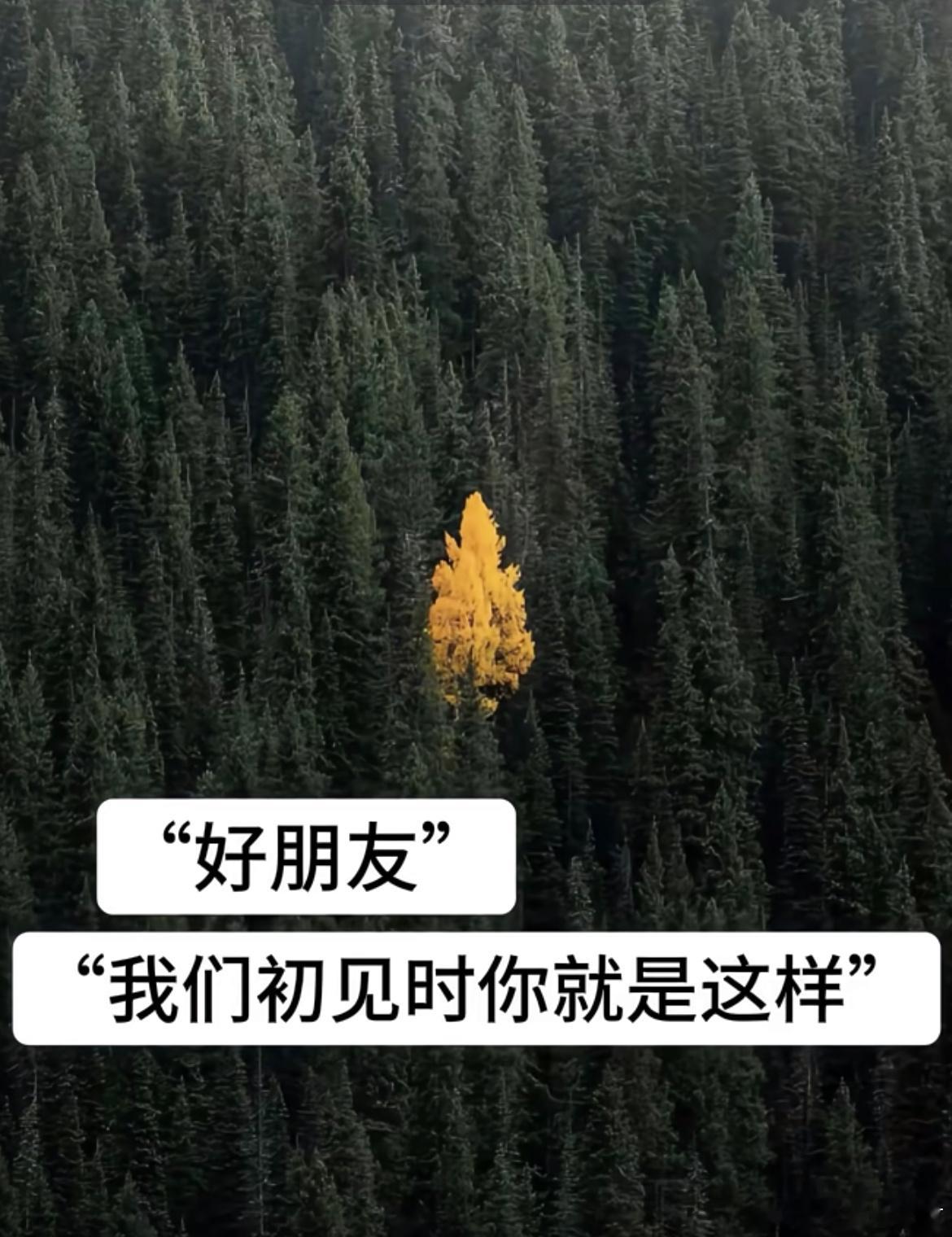 和好朋友初见时就是这样的。