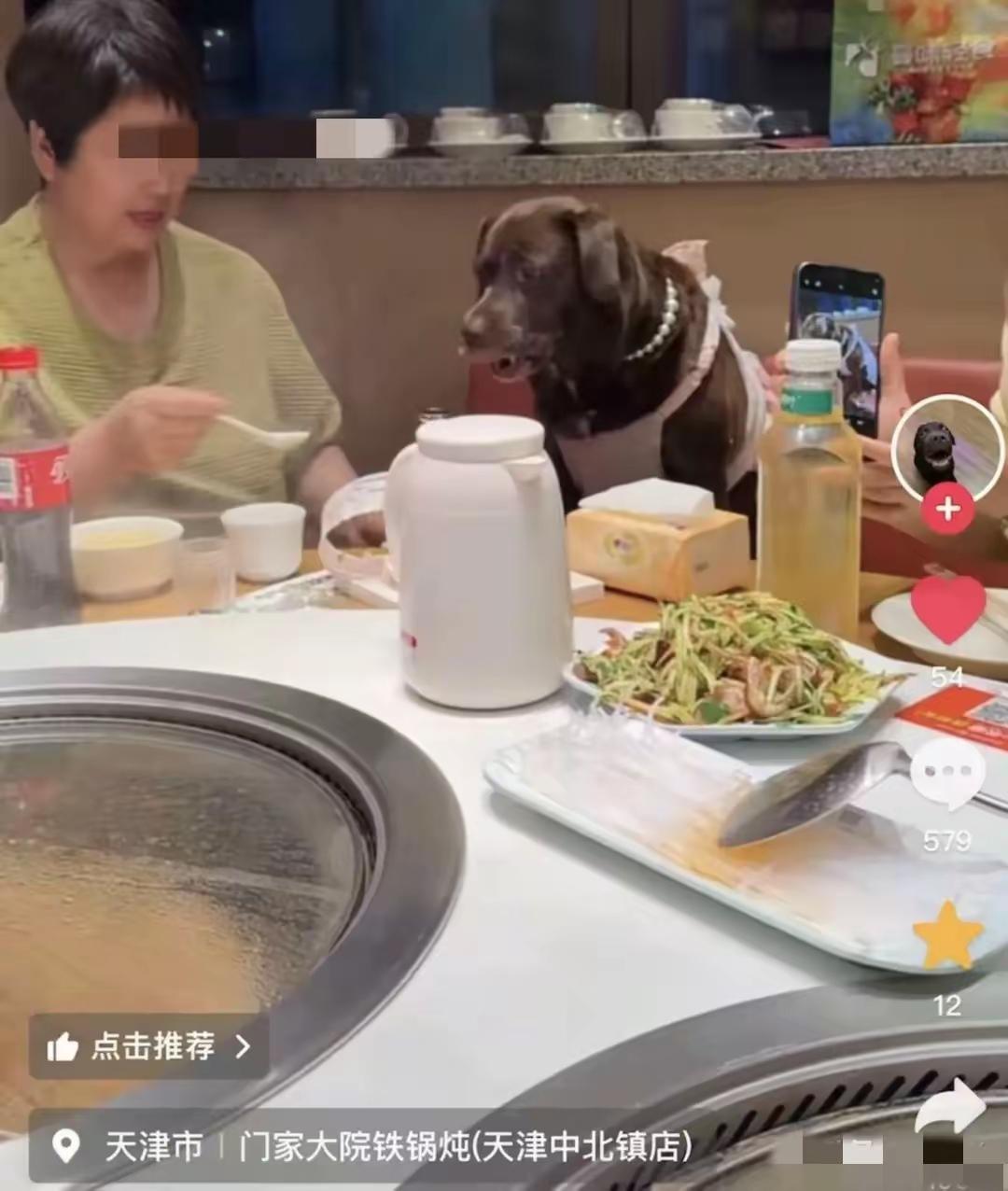 这家饭店为狗庆生成为狗餐厅！事发天津卫，一家连锁饭店接待客人为狗举办生