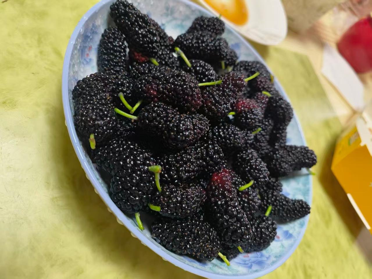桑葚自采！生活处处有惊喜。前几日去荷花园游玩，瞧见门口一块黑板上写着“桑葚自采