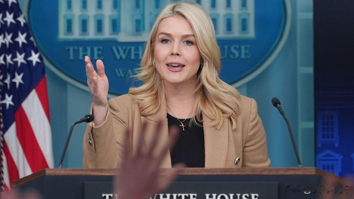 白宫：多国收到‘和委会’邀请函今天凌晨，卡罗琳在例行记者会上对外确认：“由特朗