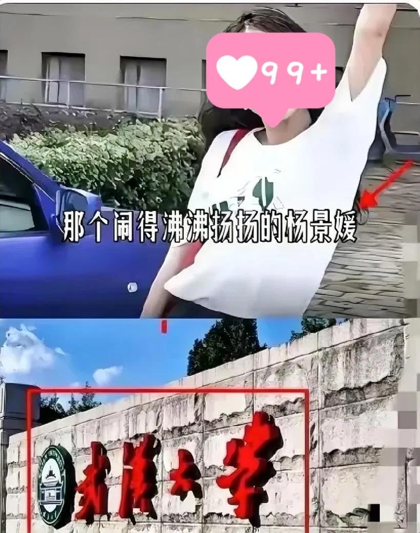 辅导员一句话，真能把学生逼到退学边缘？武大这事儿听完直让人冒冷汗。杨景媛举