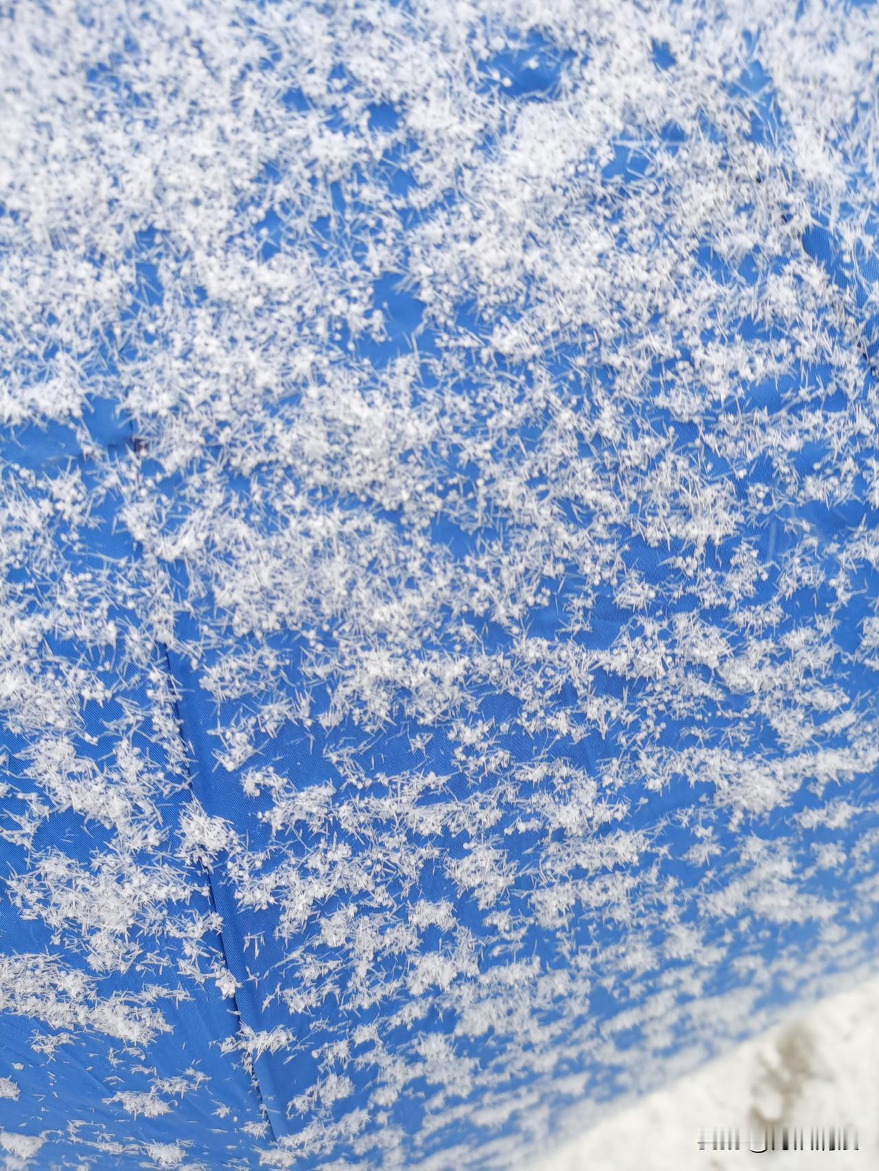 不是说雪是规则的6角结晶体吗？这明明是单针啊，难道是谁把雪揉碎了再撒下来的？郑州