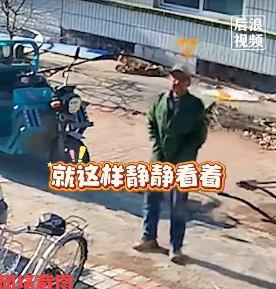 辽宁有大爷听到自家院落有动静。刚开始以为是来了什么人，结果出门一看竟然是头野