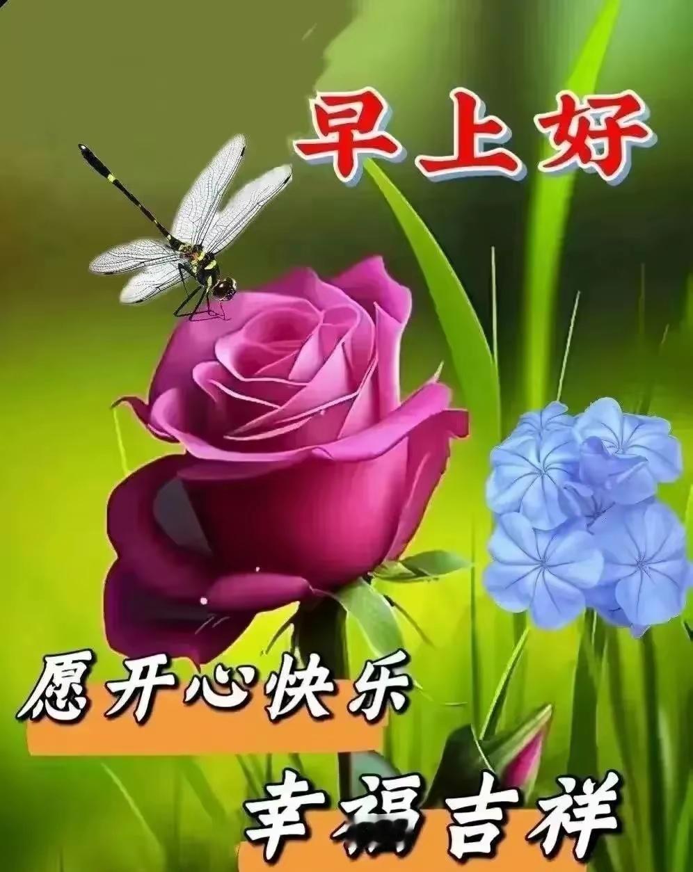 分享早上的祝福语清晨的阳光刚探头，先来问声早上好～常道一声问候，既加深情谊，也为