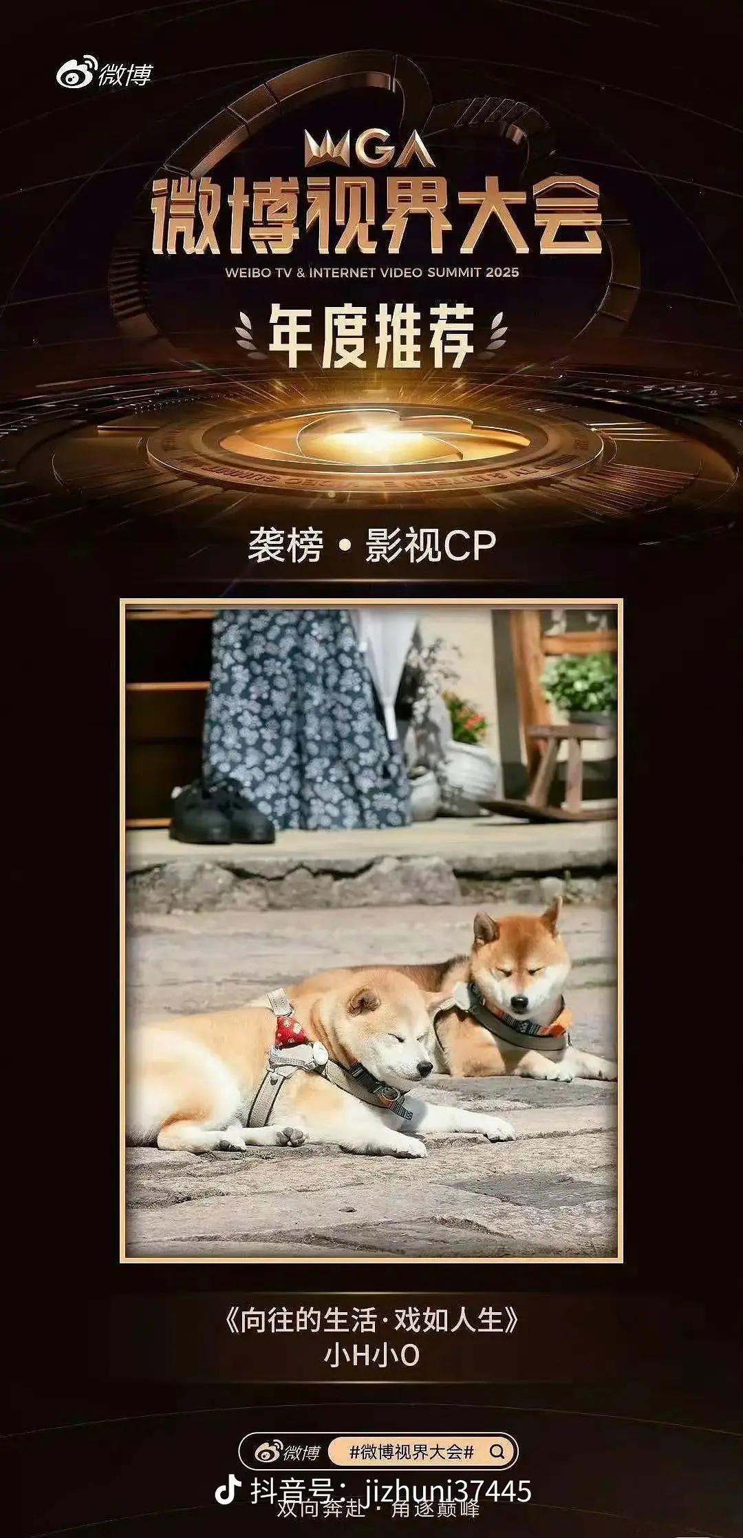 我求求了影视cp给了狗狗​​​