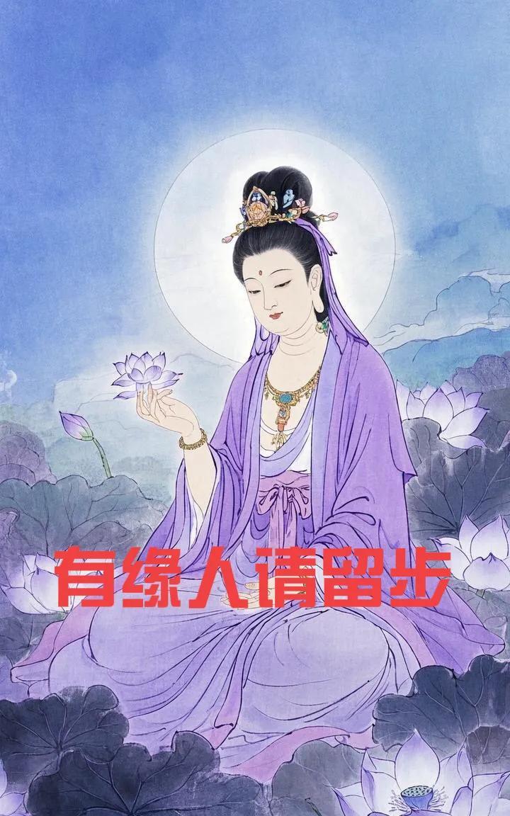 刷到紫衣观音，请不要无视，真的很灵！！留下“祈福”，今年你福泽深厚，万事顺遂。