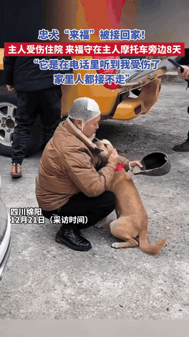 太有灵性了！四川绵阳，主人受伤住院，没想到狗狗“来福”听到这个消息，它马上跑出去