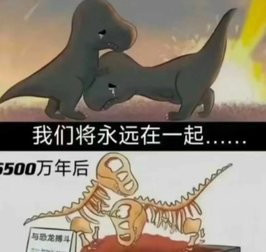 这下是真的永远在一起。