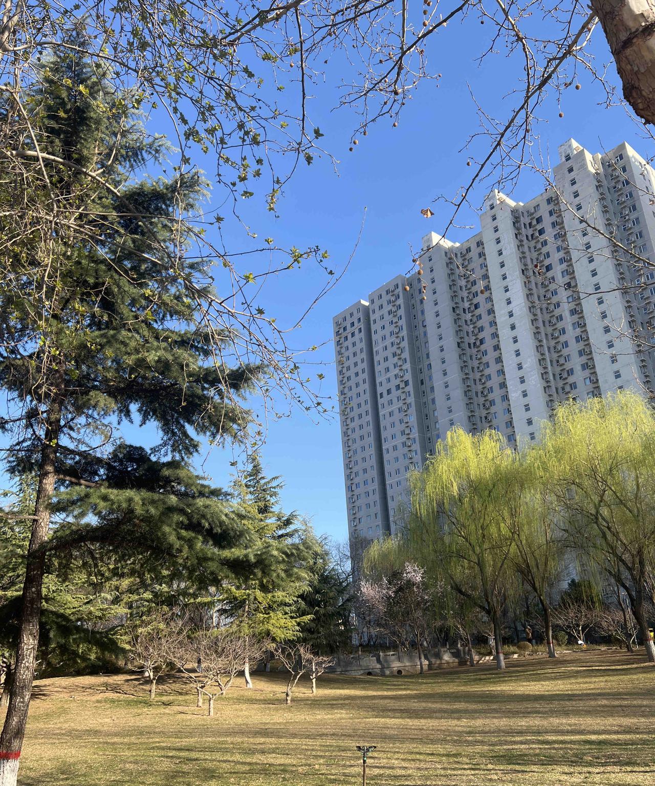 白羊座：适宜外出游玩，对事业发展有利，做事时要着重提升效率。金牛座：适合放慢节