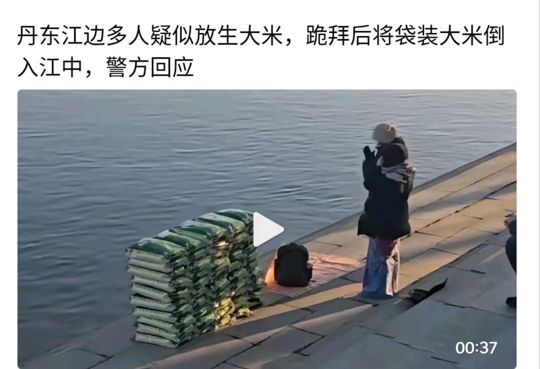 不可思议！丹东江边竟然有人“发生大米”。买了几十袋大米，跪拜之后把大米推到水中。