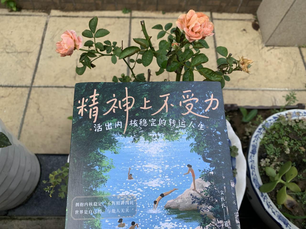 朱亚文没获奖，却将怒火撒向无辜的郭麒麟，难道另有隐情？2019年的FIRST