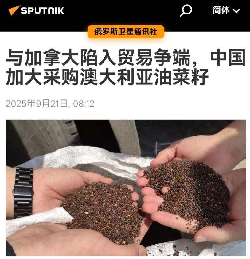 打一个拉一个，中国这招显智慧。俄媒今日引述路透社报道，中国央企中粮集团向澳大利
