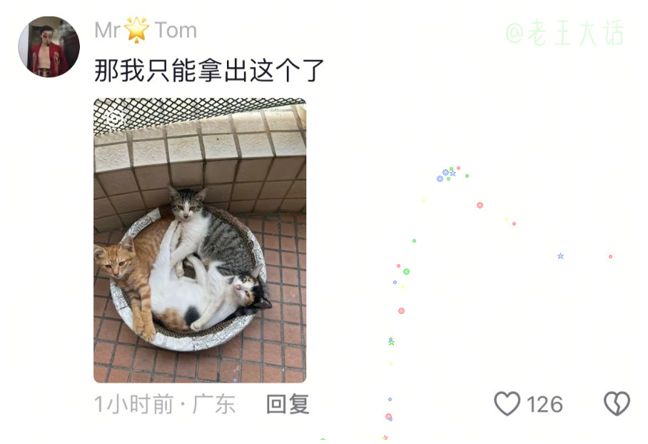 真正意义上的猫窝，严丝合缝的。