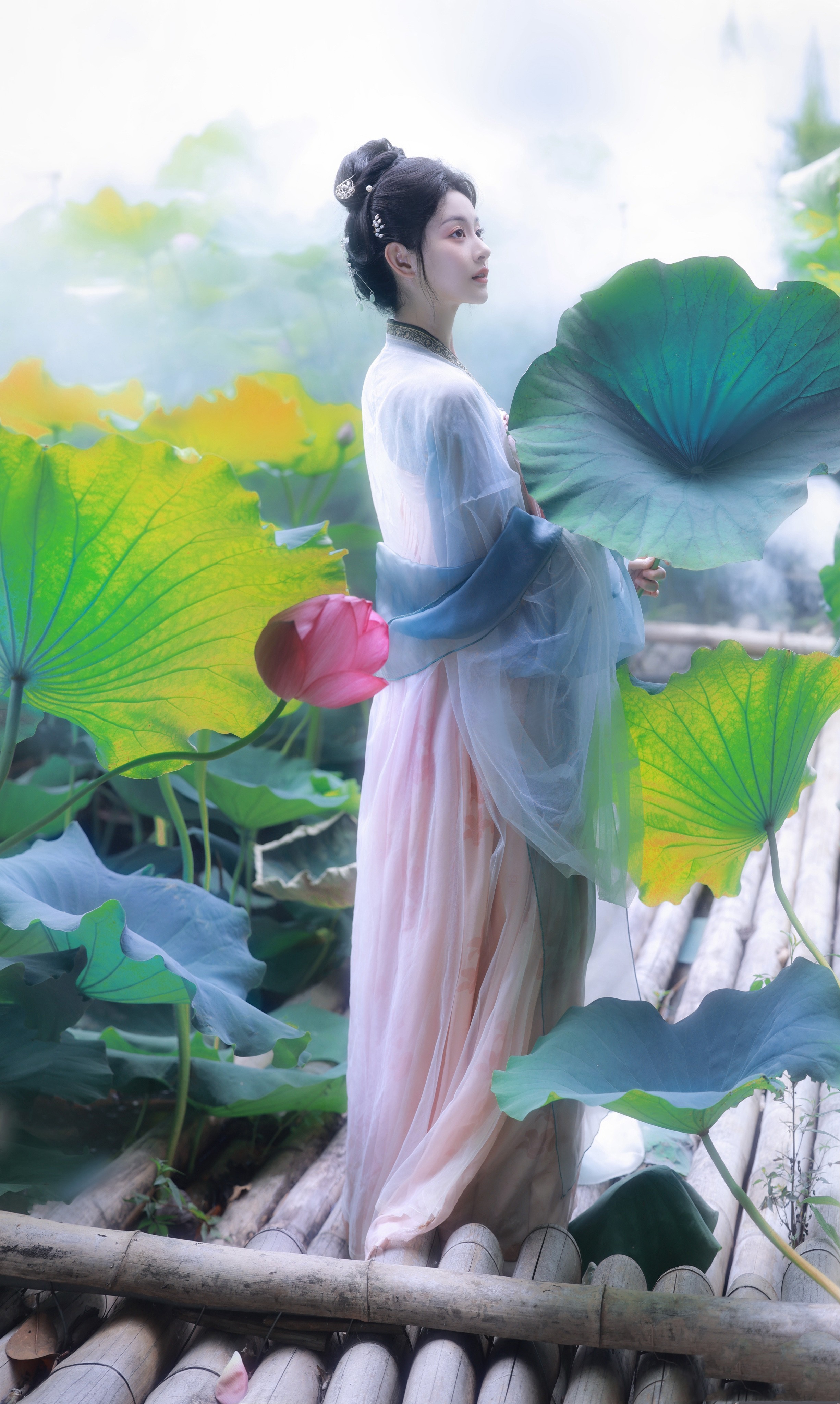 赵晴生日写真：晴光映荷，亭亭玉立​​​